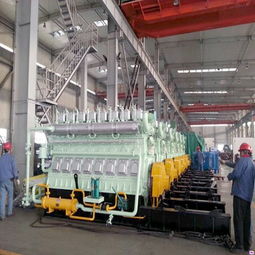 濰坊生物質(zhì)發(fā)電機組 重能動力解決方案與財務(wù)咨詢